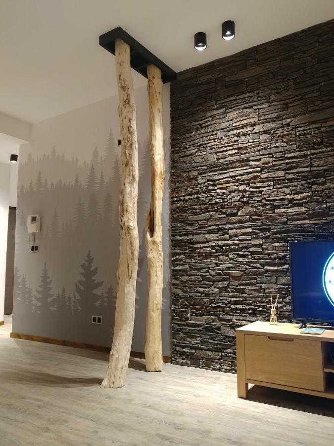 Dor Apartment Пояна-Брашов Экстерьер фото