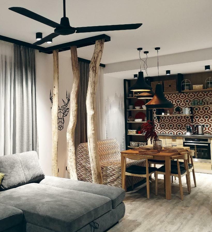 Dor Apartment Пояна-Брашов Экстерьер фото