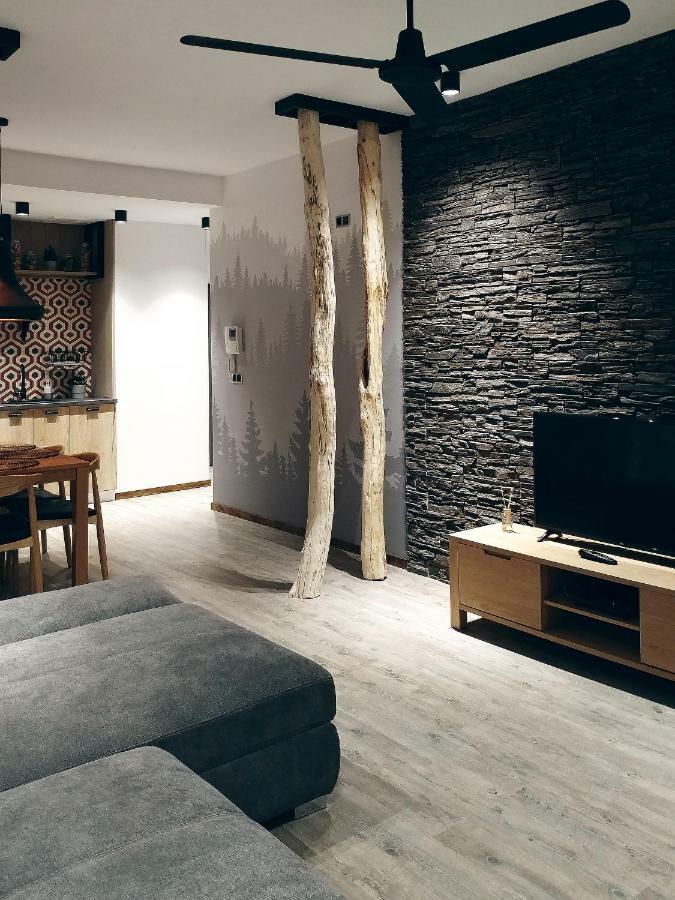 Dor Apartment Пояна-Брашов Экстерьер фото